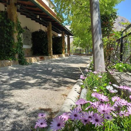 Гостьовий будинок Cortijo El Cercadillo Bedmar y Garciez Екстер'єр фото