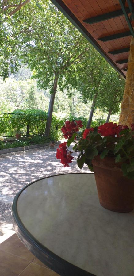 Гостьовий будинок Cortijo El Cercadillo Bedmar y Garciez Екстер'єр фото